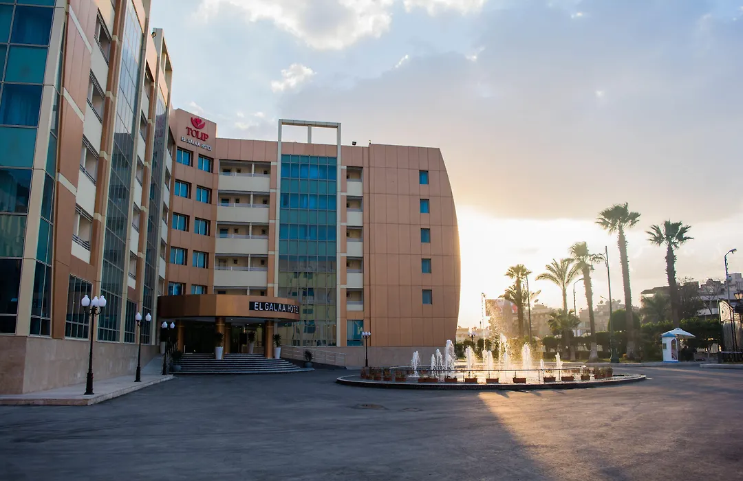 توليب الجلاء القاهرة-1