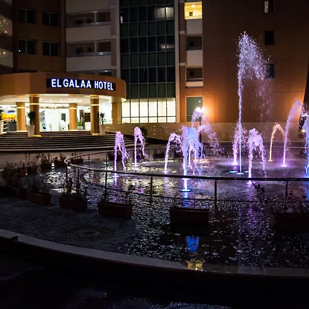 توليب الجلاء القاهرة-3